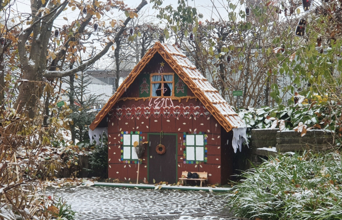 Adventsangebot im Botanischen Garten