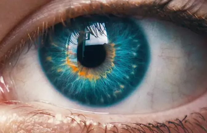 Auge Retina