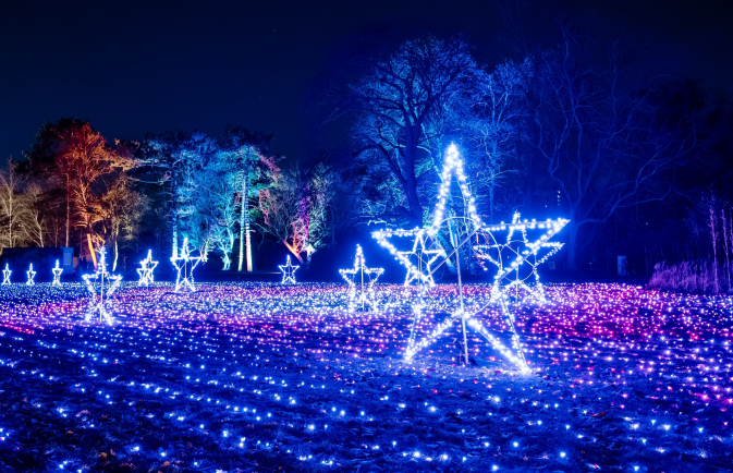 Christmas Garden