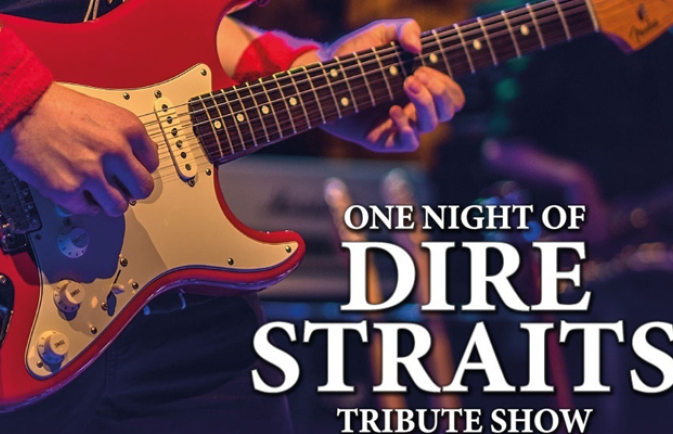 One Night of Dire Straits.jpg