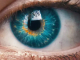 Auge Retina