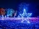 Christmas Garden