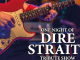 One Night of Dire Straits.jpg