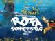 Remember the ROFA Donnerstag 1993-2002