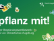 260414_Grünwettbewerb_Bild_NeueSzene.jpg