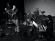 Rainer Gruber & the stealing horse live in concert