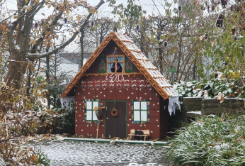 Adventsangebot im Botanischen Garten