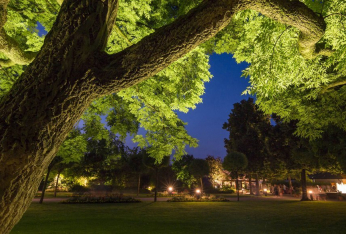 Botanischer Garten