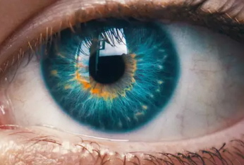 Auge Retina