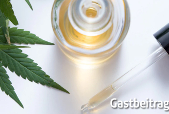 Gastbeitrag