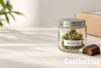 Gastbeitrag